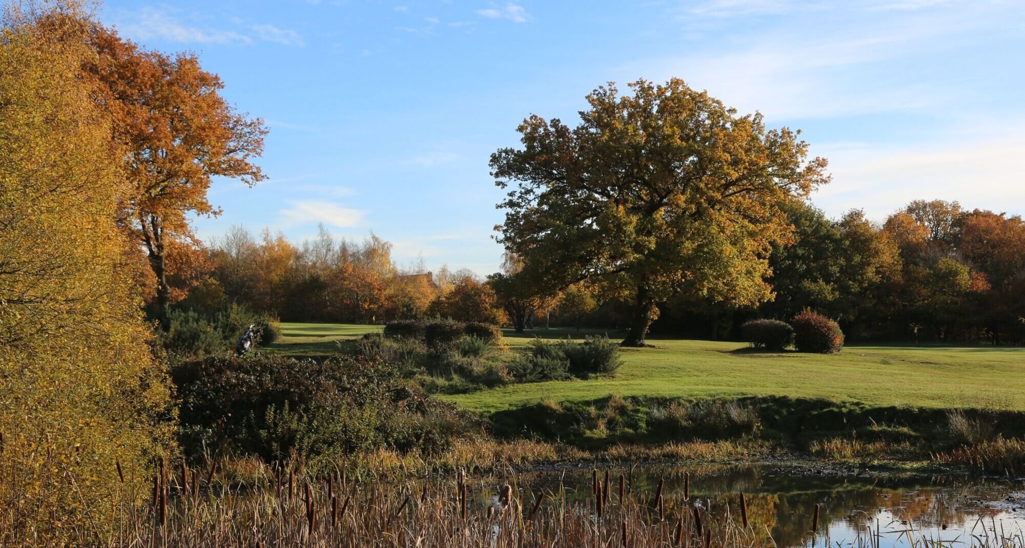 Woodford Golf Club